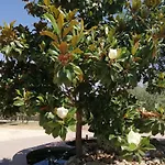 Vemi Alojamento de Turismo Rural