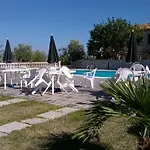 Vemi *