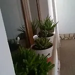 Vemi