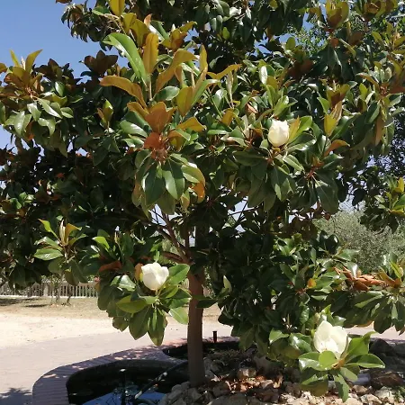 Vemi בית חווה