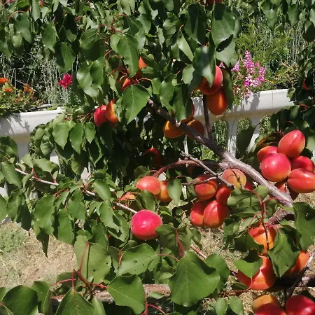 Vemi בית חווה