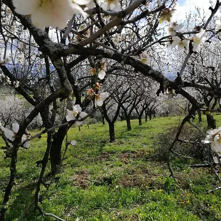 Vemi בית חווה