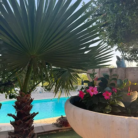 Vemi בית חווה