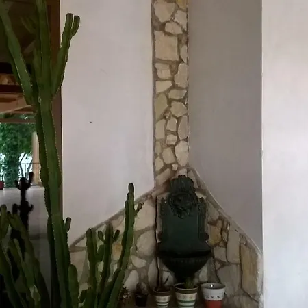 בית חווה Vemi Santa Sofia d'Epiro