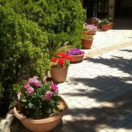 בית חווה Vemi