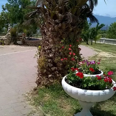 בית חווה Vemi