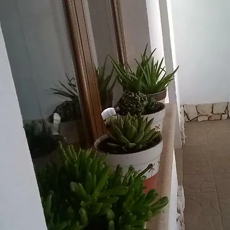 Vemi