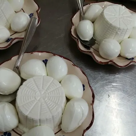 Vemi בית חווה