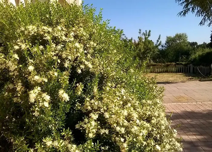 Bauernhof Vemi Santa Sofia d'Epiro